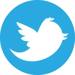 Buy Twitter PVA Accounts